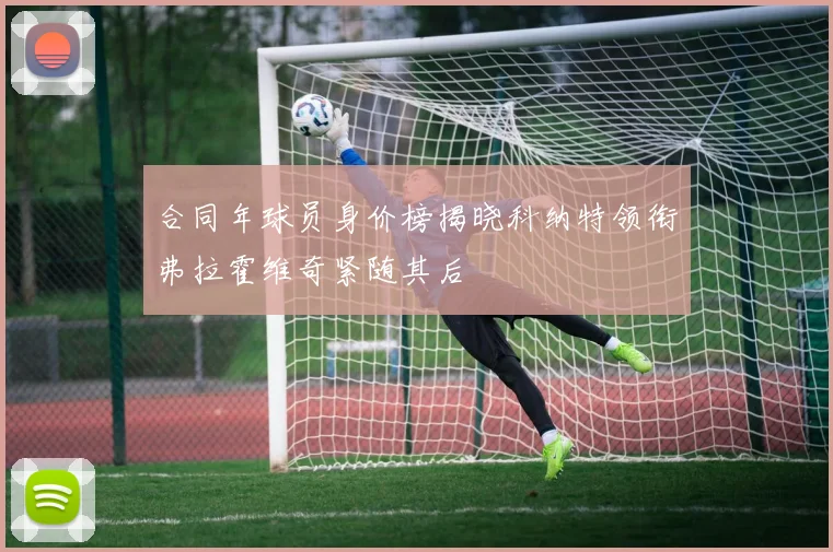 合同年球员身价榜揭晓科纳特领衔弗拉霍维奇紧随其后