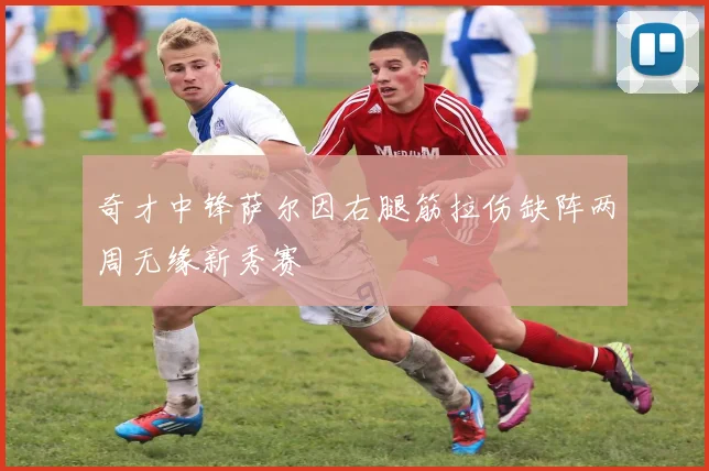 奇才中锋萨尔因右腿筋拉伤缺阵两周无缘新秀赛