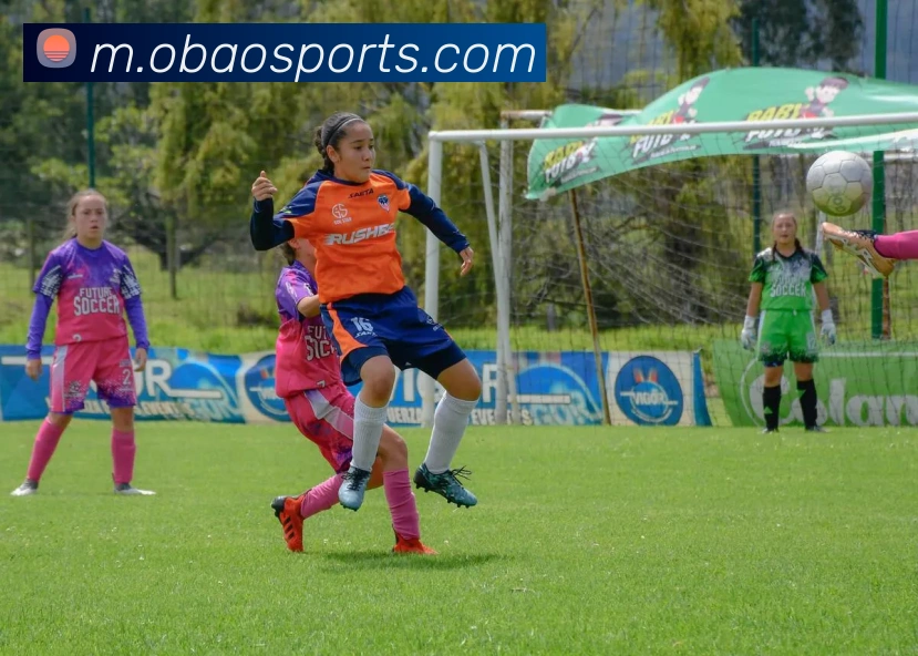 多媒体互动体验